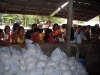 2008-negros-rice-charity-05