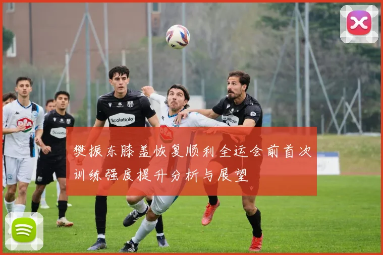 樊振东膝盖恢复顺利全运会前首次训练强度提升分析与展望